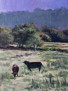 Caerwen Cattle, Pentyrch