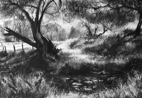 Across the stream - Charcoal on paper