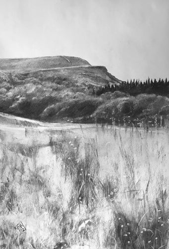 Meadow, South Wales - Charcoal on Paper