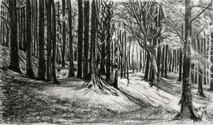 Original charcoal on paper drawing illustrating the Coed y Bedw woodland area