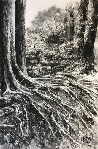 Roots - Charcoal on Paper