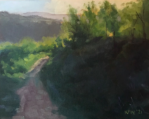 'Turning the corner' - The Graig Yr Allt, Taffs Well