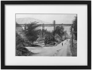 Signed Print - Framed - Walnut tree viaduct