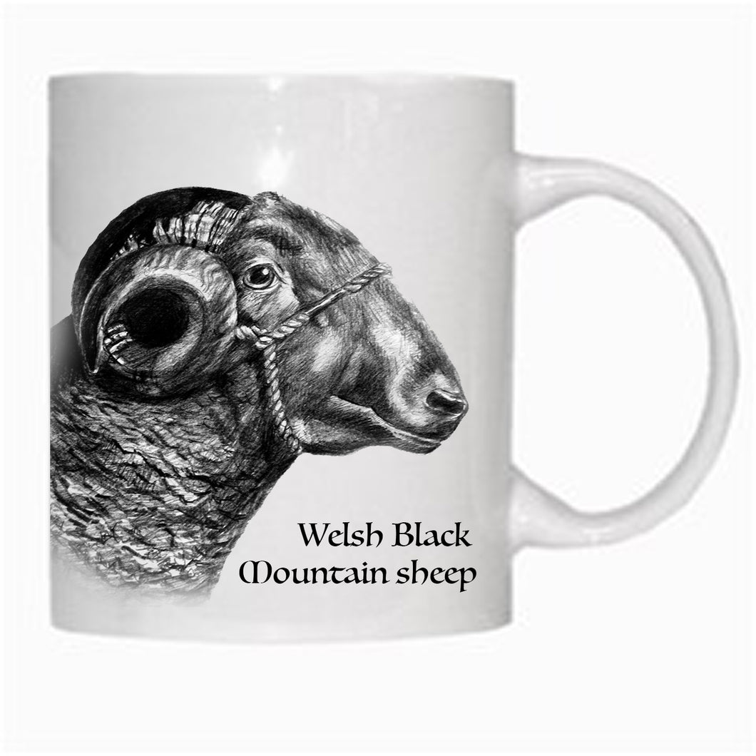 Gift - Mug - Welsh Black Mountain Sheep