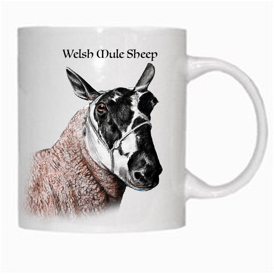 Gift - Mug - Welsh Mule Sheep