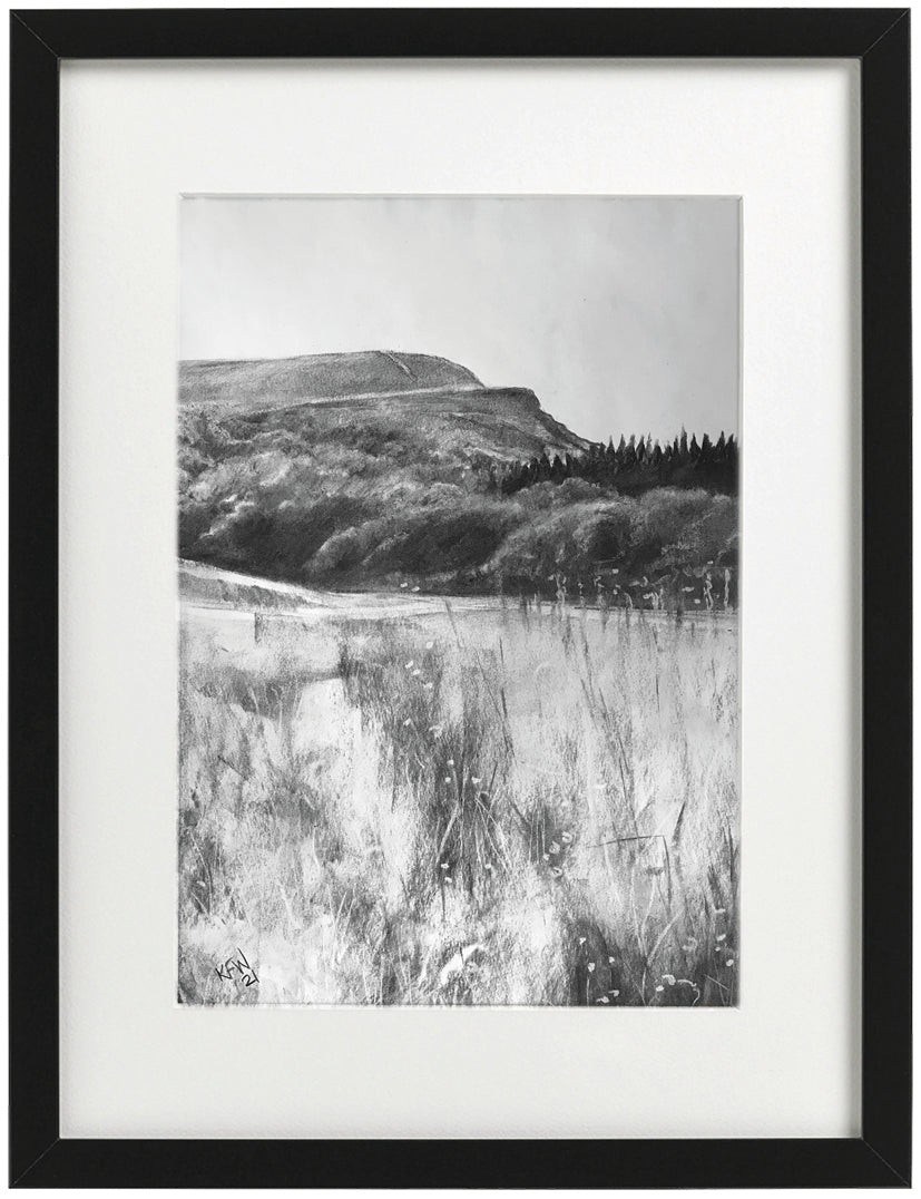 Framed print -  'Welsh meadow'
