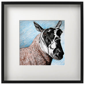 Signed Print - Framed - Welsh Mule